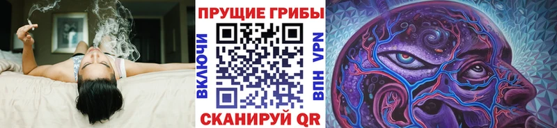 Галлюциногенные грибы мицелий  магазин  наркотиков  Жуков 